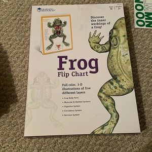 Frog Flip Chart